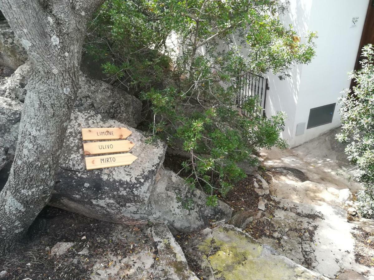 Apartament Limone Capitana Zewnętrze zdjęcie
